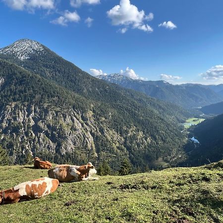 Landhaus Renata - Wendelstein Bayrischzell Exteriör bild